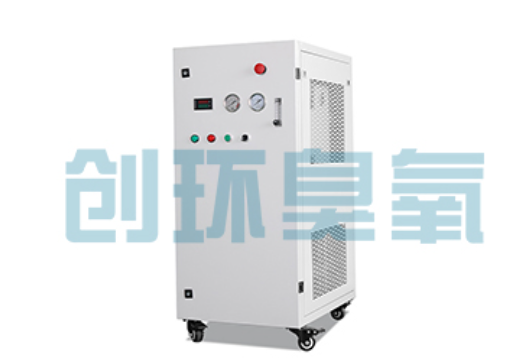 商洛石斑鱼养殖水质调控完整指南:臭氧发生器配置与操作步骤